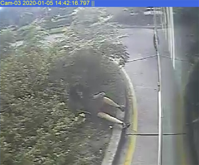 劉女因受撞擊，倒在草叢起不來。（翻攝自判決書）