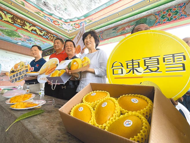 台东夏雪芒果广受海外消费市场喜爱，今年更争取授权贴纸与其他县市区别。图为今年4月台东县长饶庆铃出席宣传夏雪早春芒果推广活动。（本报资料照片）