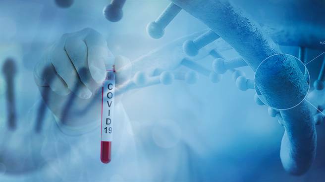 醫學期刊《免疫》發表的研究論文指出，新冠肺炎毒株發生在刺突蛋白上的變異很可能會影響當前抗體治療藥物和疫苗的保護效果，也可能發生跨物種傳播到其他的宿主動物身上。（圖／Shutterstock)