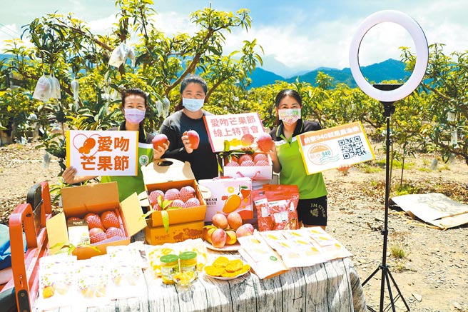 枋寮、枋山的芒果小农近日身兼直播主卖芒果，盼开发新客源度难关。（谢佳潾摄）