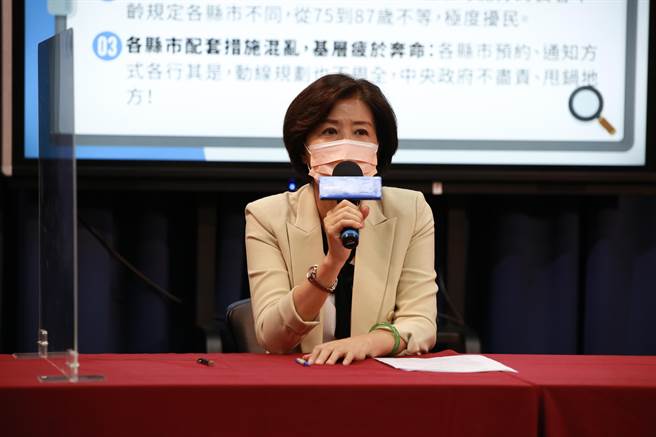 国民党文传会主委王育敏。（国民党提供）