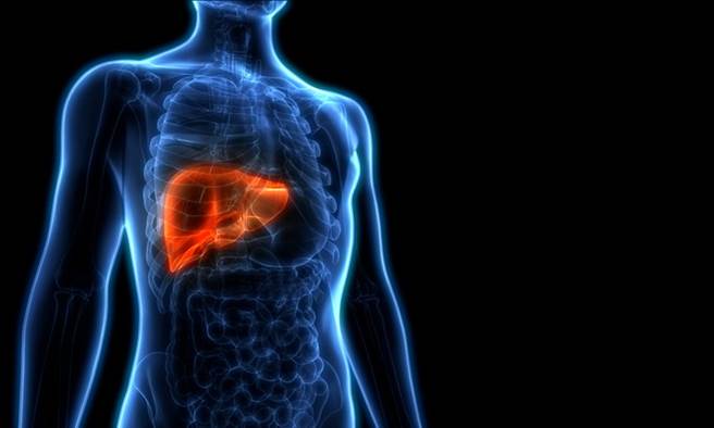 少做一项关键步骤，他定期健检却仍发现肝癌晚期。(图/Shutterstock)