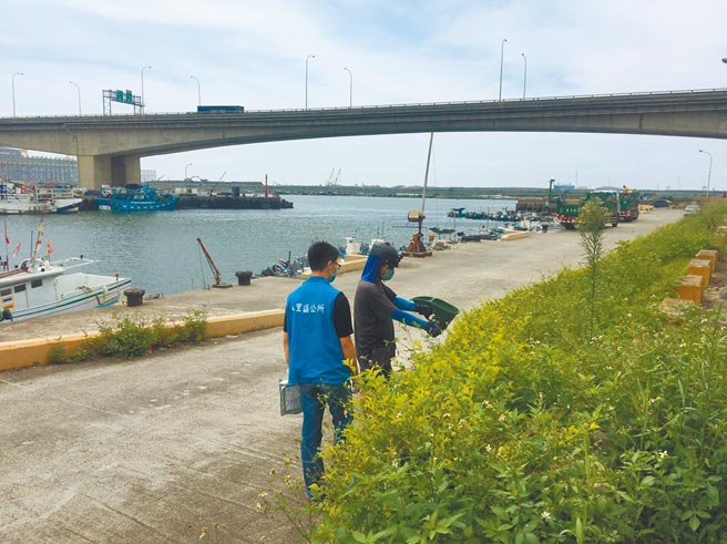 新北市农业局派员前往八里下罟子渔港施洒药剂扑灭红火蚁。（新北市农业局提供／叶书宏新北传真）
