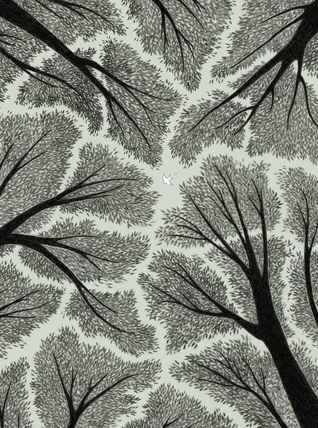 插画家卓霈欣以漫画《树冠羞避》获得波隆那SM国际插画家大奖，除奖金一万五千欧元外，明年更能于波隆那书展举办个展。（摘自台北国际书展脸书）