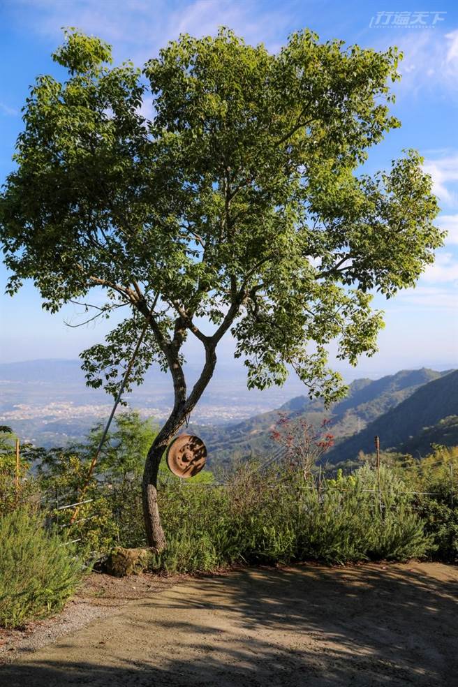 营区开幕前花了4年整地造林，尽可能让客人舒服地接触大自然。(图/行遍天下提供)