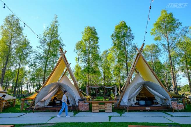 设立在落羽松绿地的营帐，可以享受大自然满满能量。(图/行遍天下提供)