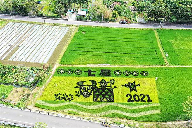 关渡平原彩绘稻田亮点地景。（旅游经提供）