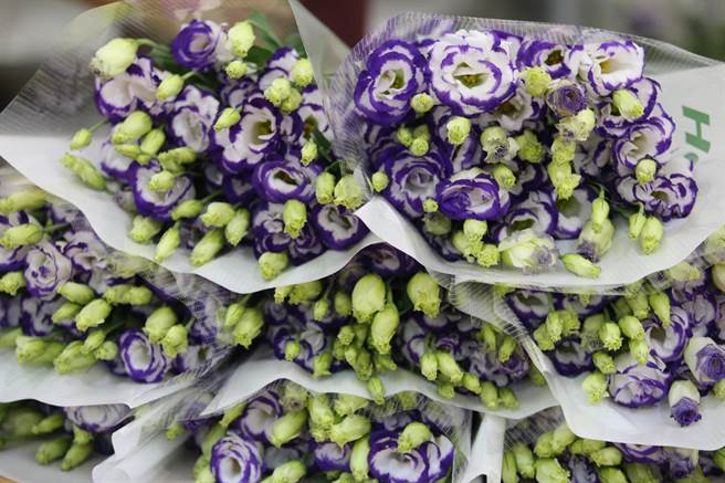 洋桔梗目前正值内销採收季节，价格暴跌到每把剩30元左右。（嘉县府提供／张亦惠嘉县传真）