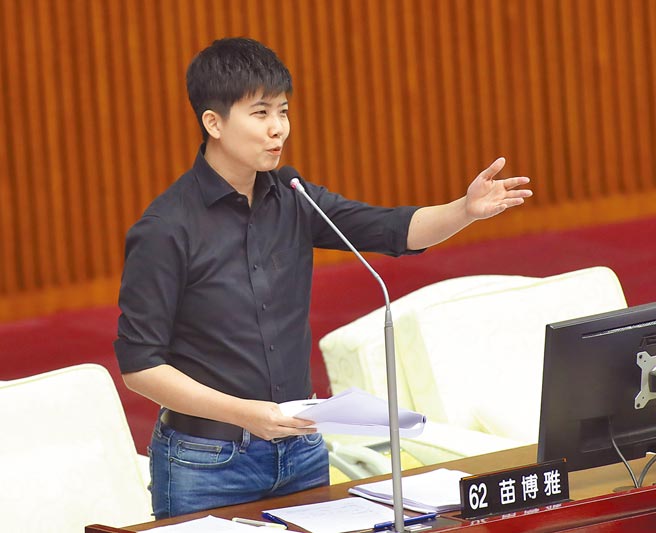 台北市議員苗博雅。（本報資料照片）