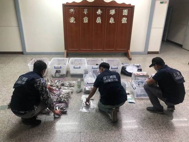 保三總隊破獲大宗迷幻蘑菇栽種場，查扣乾燥迷幻魔菇3785公克、迷幻蘑菇活株2628公克等證物。（保三總隊第一大隊提供／陳淑娥台中傳真）