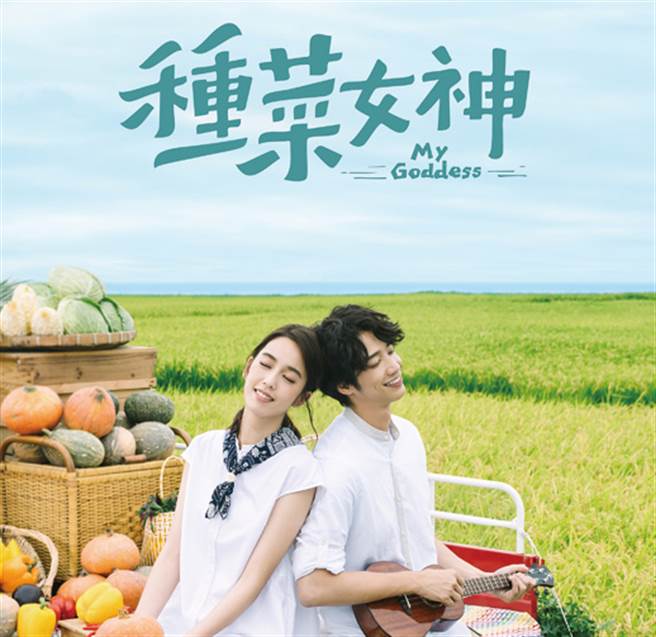 《种菜女神》剧照，刘以豪、陈庭妮身后背景即是有着金黄稻浪的新社梯田。（爱奇艺提供）