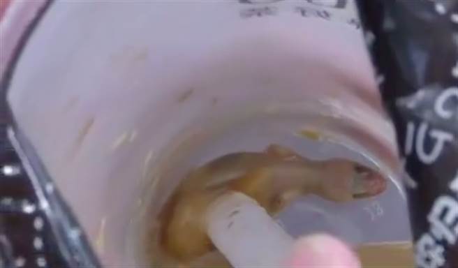 大陆福建一名余姓妇人，在儿子透明的手摇饮杯底中，惊见一整只死壁虎，气得赶紧向店家投诉。（图／翻摄画面）