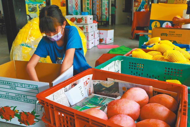 受疫情影响，屏东善导书院的凤梨订单虽减少8成，但仍不忘针对孩子品德教育的初衷，近日师生协力帮老农卖农产。（谢佳潾摄）