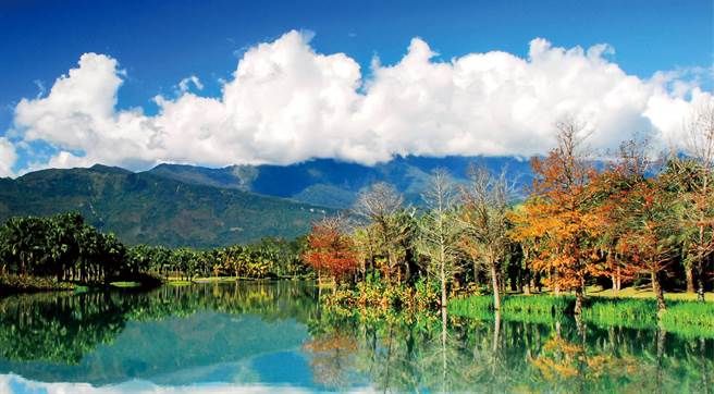 雲山水裡夢幻湖畔遍植落羽松，不論任何時節都美得如詩如畫。(圖/花蓮趣提供)