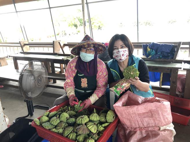 立委賴惠員表示，今年因為疫情關係，白河原是觀光勝地，卻因為遊客不來、貨運塞車的原因致蓮子配銷出現困難。（賴惠員服務處提供／張毓翎台南傳真）