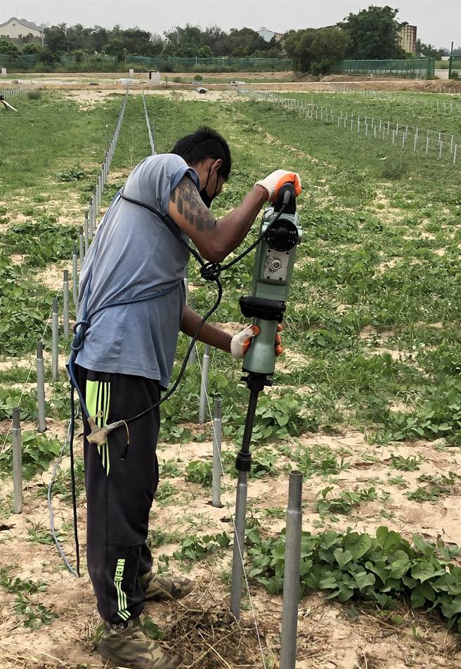 金门第1座有机农业集团栽培专区广达6.85公顷，目前已着手建构相关栽培设施。（李金生摄）