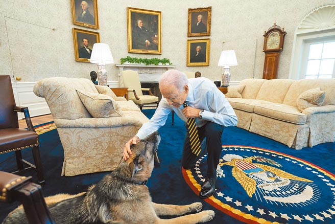 美国总统拜登与宠物犬「冠军」。（摘自美国白宫官方脸书）