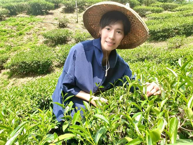 林语菲化身小农，帮忙家中採收茶叶、咖啡。（菲常动人音乐提供）