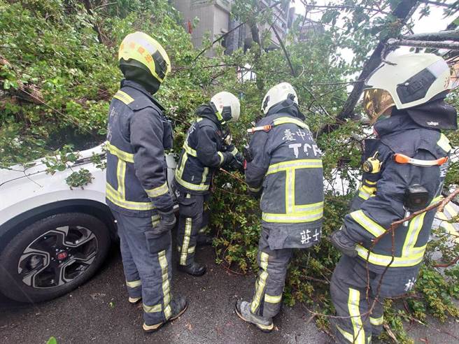 消防人員到場立即協助移除路樹後，曾男順利脫困。（台中市消防局提供／陳淑娥台中傳真）