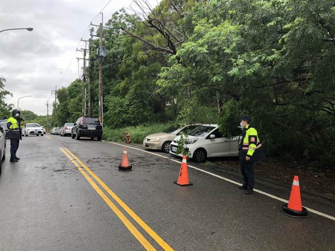 沙鹿区晋文路183巷有路树倒蹋压到电线杆。（民眾提供／陈淑娥台中传真）