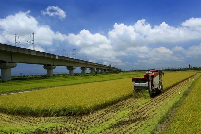 台南市后壁区稻米专业区属于第5组灌区，今年二期稻作是否照常供灌，还得视未来水情才能定案。（台南市政府提供／张毓翎台南传真）