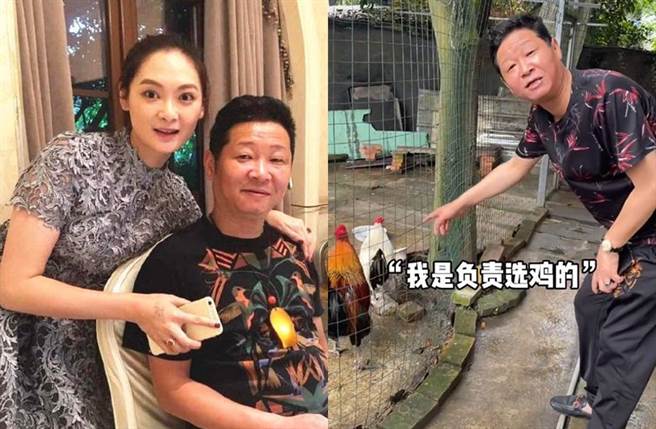 趙亮開養雞場還娶美嬌妻。(圖／翻攝自微博)