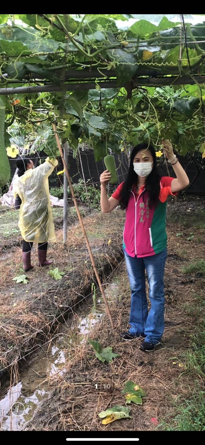菜瓜爆腐烂。（赖清美提供／吴敏菁彰化传真）