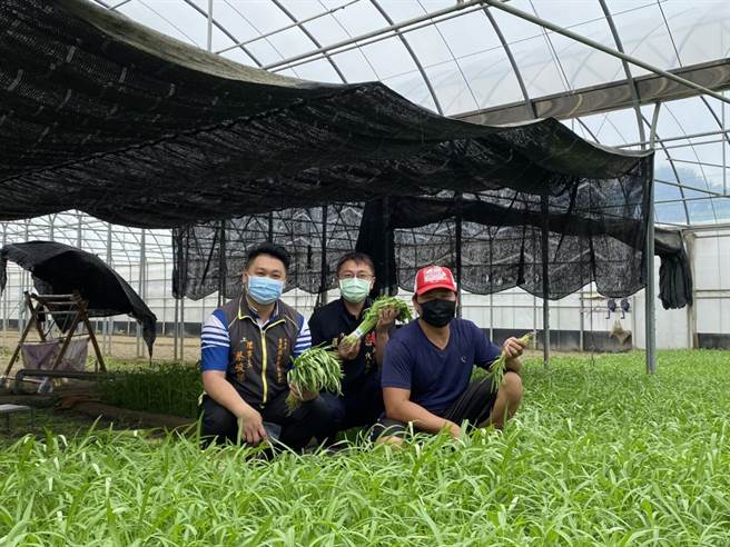 新港青农洪连懋（右一）种植空心菜约4年多，中为新港乡民代表严崴骏，左一为古民社区发展协会理事长蔡峻杰。（张亦惠摄）