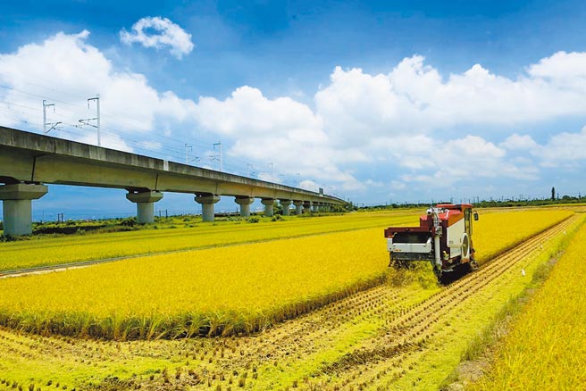 台南市後壁區稻米專業區屬於第5組灌區，今年二期稻作是否照常供灌，還得視未來水情才能定案。（台南市政府提供／張毓翎台南傳真）