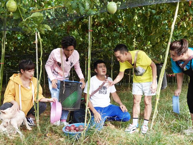 《综艺新时代》要播出曾创下高收视率的「百香果农」。 （民视提供）