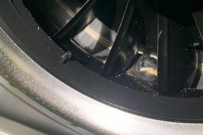 有网友发现厨房恶臭从抽油烟机飘出，探头一看，里头竟暗藏小鸟家族。（图／Dcard）