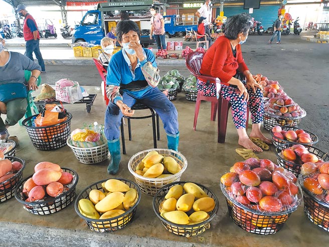 台南市玉井青果市场游客大减，果农一早载出来卖的芒果常卖不完又载回家。（刘秀芬摄）