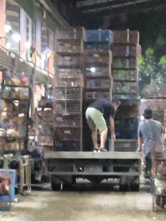 新北家禽屠宰場傳移工群聚感染（翻攝自臉書新北市家禽運銷合作社／戴上容新北傳真）