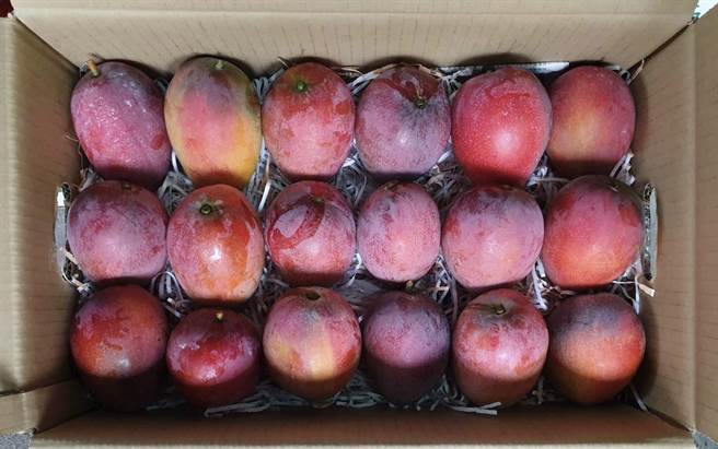 官田區農會17-18粒6公斤裝芒果。（台南市農業局提供／劉秀芬台南傳真）