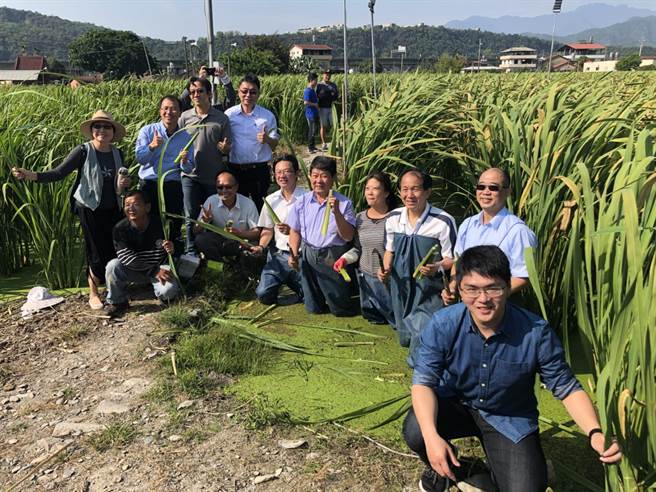 国立暨南大学致力产学合作，入选世界最佳年轻大学。（暨南大学提供／廖志晃南投传真）