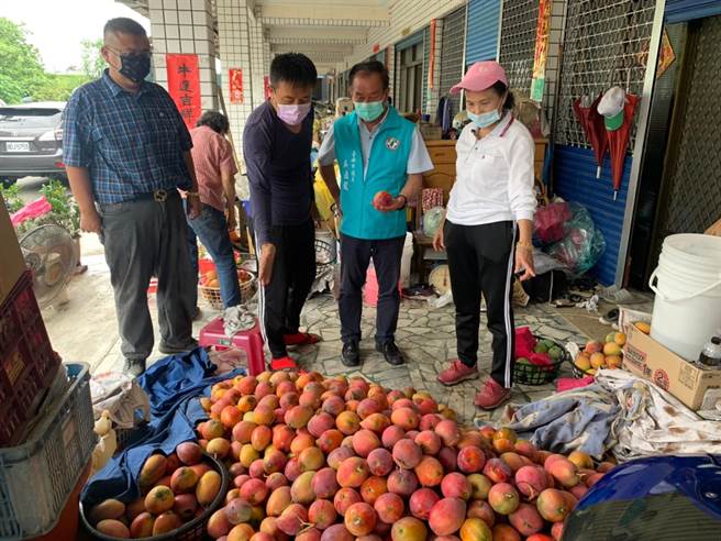 吴通龙（右二）至大内区看芒果农採收、出货状况。（刘秀芬摄）