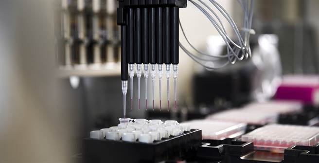 本周约有25名纽西兰年轻人接种中国大陆重组双组分新冠肺炎疫苗ReCOV，由纽西兰临床研究机构（NZCR）和中国江苏瑞科生物技术有限公司合作进行。（图／江苏瑞科生物技术公司)