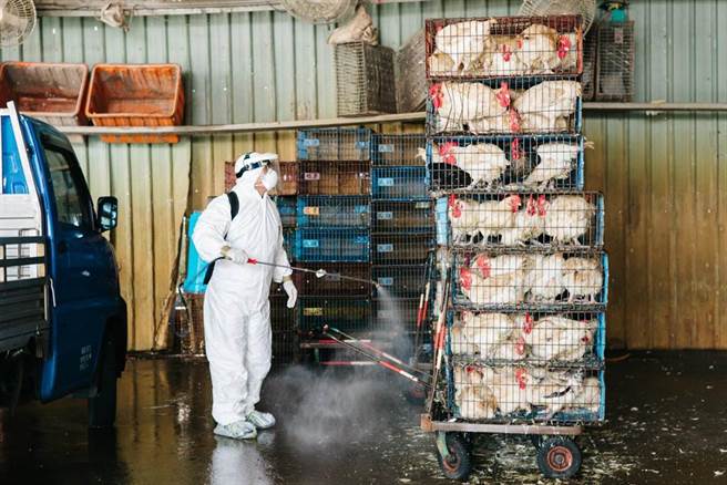 位在泰山區的新北市家禽運銷合作社爆出移工群聚確診，動保處26日前往家禽屠宰場清潔消毒，也緊急休市一天。（郭吉銓攝）
