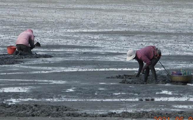 云林县麦寮乡浊水溪出海口意外频传，地中海型沙洲暗藏危机。（麦仔簝文化协会提供／张朝欣云林传真）