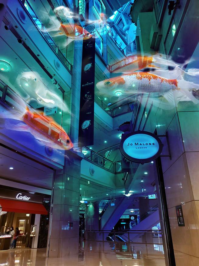 復興商工學生朱侒禹以《魚遊》為主題參加2021年全國學生攝影比賽獲得金牌。（復興商工提供）