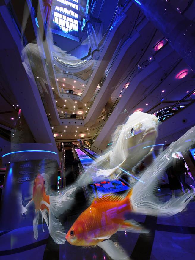 復興商工學生朱侒禹以《魚遊》為主題參加2021年全國學生攝影比賽獲得金牌。（復興商工提供）