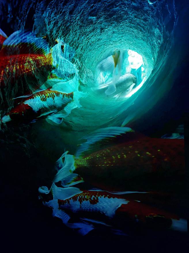 復興商工學生朱侒禹以《魚遊》為主題參加2021年全國學生攝影比賽獲得金牌。（復興商工提供）