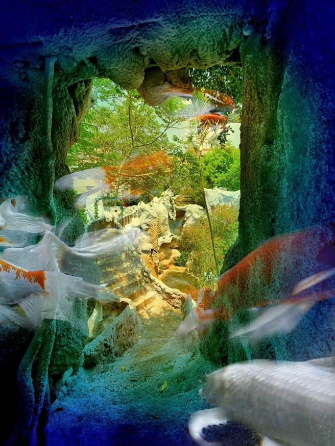 復興商工學生朱侒禹以《魚遊》為主題參加2021年全國學生攝影比賽獲得金牌。（復興商工提供）