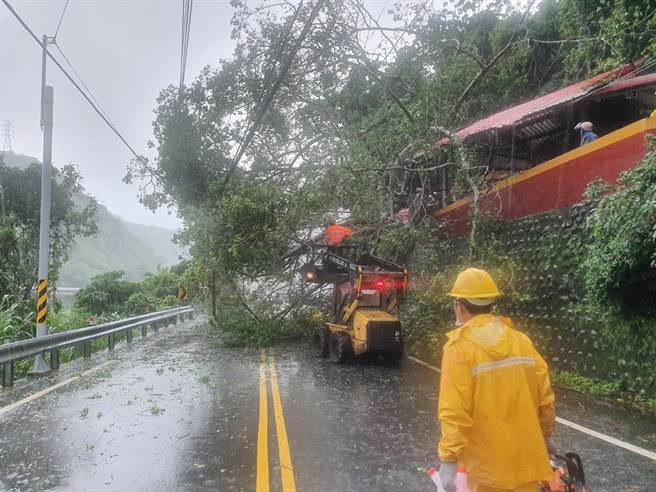 台八線10.5公里處，今天清晨發生路樹倒塌事件。（民眾提供／陳淑娥台中傳真）