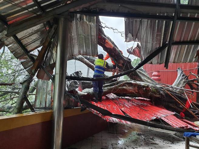 台八線10.5公里處，今天清晨發生路樹倒塌事件。（民眾提供／陳淑娥台中傳真）