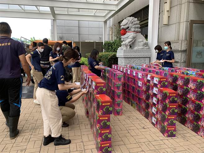 葳格国际学校向彰化大村果农採购1000箱葡萄，将转送给防疫第一线医护人员。(林欣仪摄)