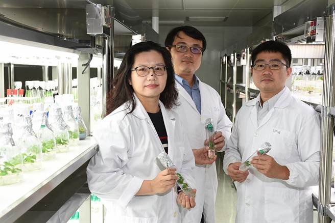 工研院生医所研发「乾癣治疗植物新药」，无类固醇副作用，可长期使用。（工研院提供／罗浚滨新竹传真）