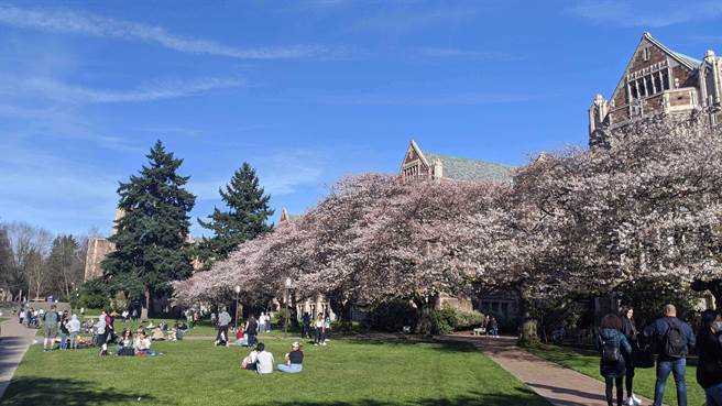 西雅圖(圖／中央社)