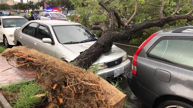 连日中午过后大雨，29日下午5点19分中市大里区文心南路、福德路口附近，一颗行道树倒塌，压毁一辆汽车的引擎盖。（雾峰分局提供／黄国峰台中传真）