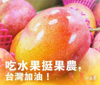 林佳龍買200箱芒果挺果農 黃偉哲感謝協助行銷